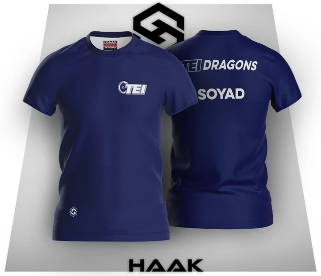 HAAK - TEI Dragons Forma Modeli